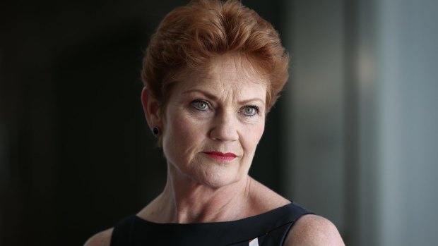 Pauline Hanson's One Nation holds four seats in the new Senate.