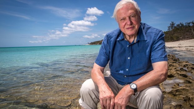 Sir David Attenborough at the Great Barrier Reef. 