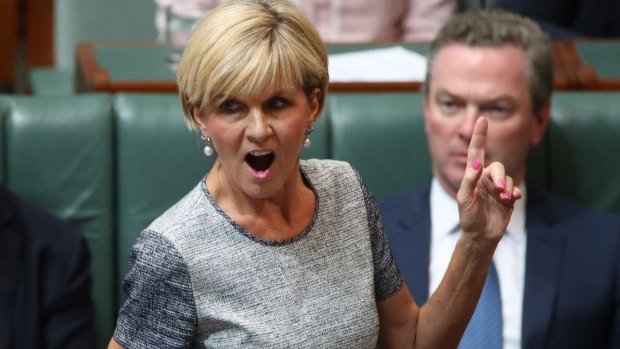 Foreign Minister Julie Bishop voiced her their frustration over the release of sensitive policy details.