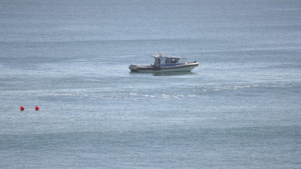 Authorities monitoring drum lines off Falcon Beach. 