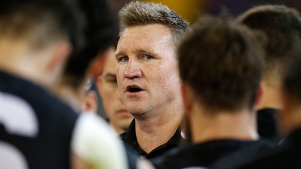 Success story: The Magpies have thrived under Nathan Buckley. 