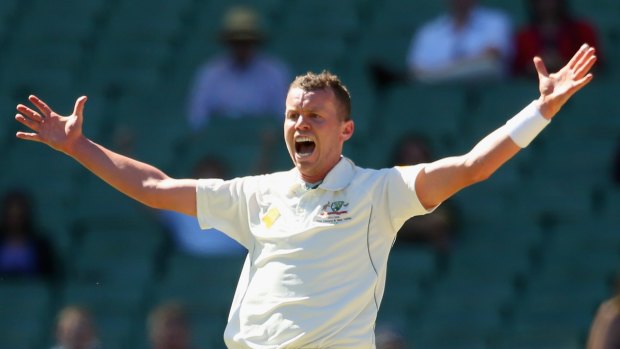 Injury concern: Peter Siddle is battling an ankle complaint.