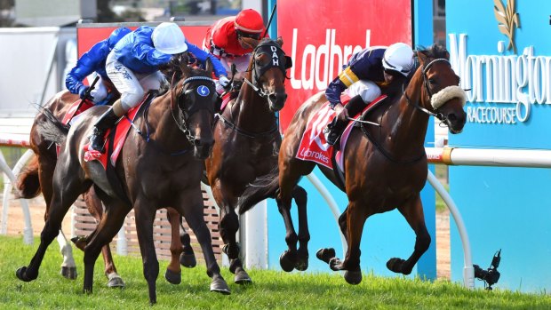 Last-start winner: Andrew Mallyon riding Tally (left) defeats Patrick Moloney riding Vengeur Masque in the Mornington Cup.