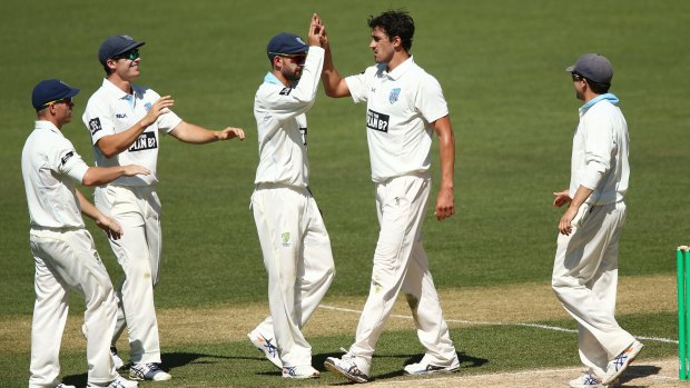 Wrecking ball: Mitchell Starc celebrates one of his eight wickets for the match. 