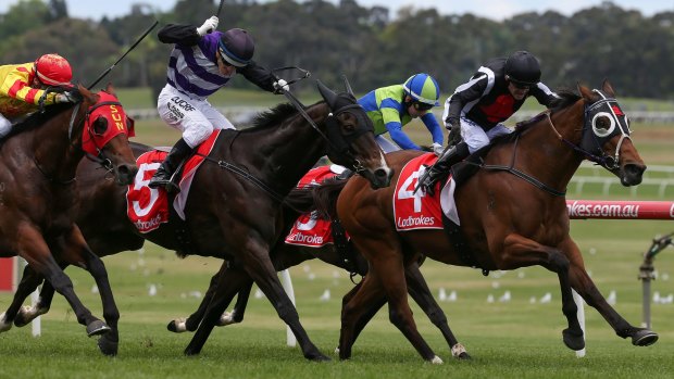 Home straight: Kevin Forrester holds off younger rivals on Jungle Edge in the Kevin Heffernan Stakes.