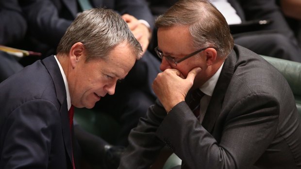 Albanese with Opposition Leader Bill Shorten in Parliament House in May.