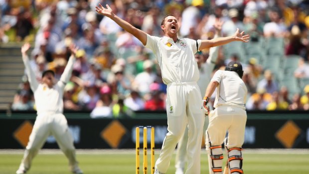 Something to shout about: Josh Hazlewood appeals for a wicket.