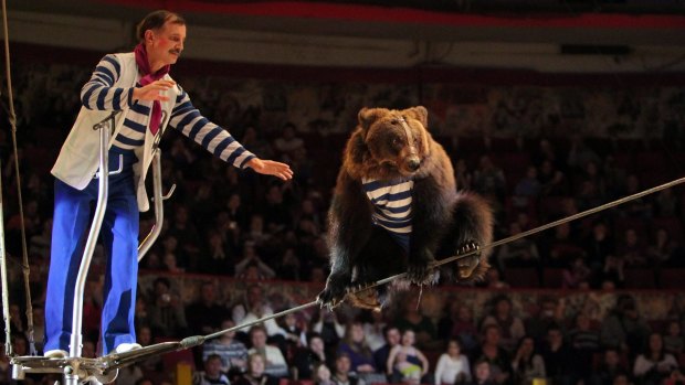 Animals are still used in circuses in Russia.
