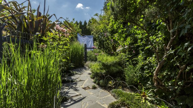 Sharon Harris' garden is an inspiration for those who want to make best use of their garden.