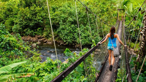 A suspension bridge over Wainibau stream, Lavena Coastal Walk, Taveuni Island, Fiji. Taveuni is the third largest island in Fiji. 