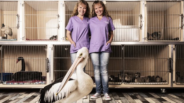 Twins Bridgette (at left) and Paula at their Sunshine Coast seabird sanctuary.