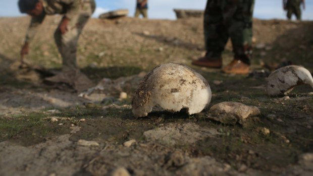 Iraqi Kurdish Peshmerga forces show what they say is a mass grave of more than 50 Yazidis in Sinjar.