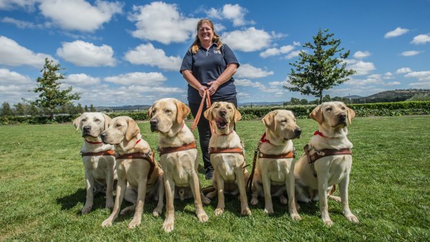 Karen Hayter, puppy development manager with new graduates (from left) Orlando, Page, Nick, Nicci, Ollie and Olive. 