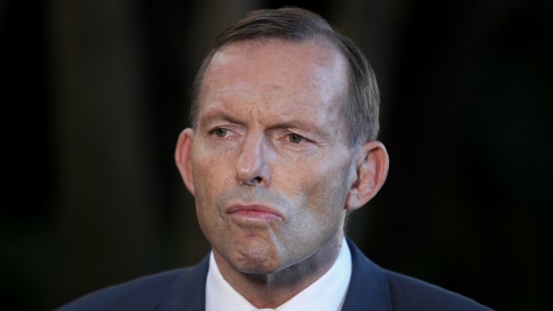 Business leaders say leadership instability involving Prime Minister Tony Abbott is harming confidence.