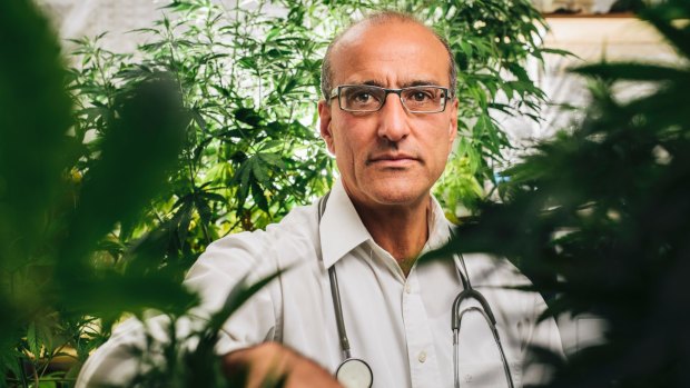 Dr Andrew Katelaris is one of Australia's biggest medicinal cannabis suppliers. 
