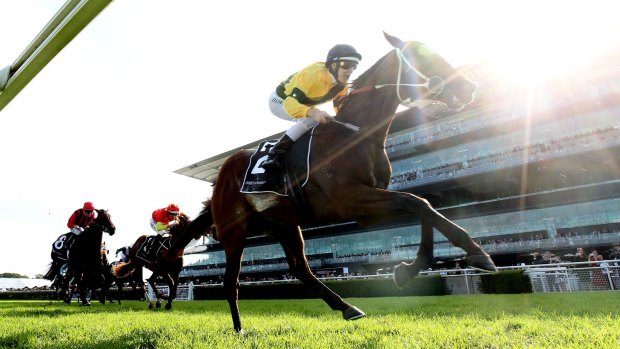 Class act: Damian Lane rides The Mission to win the group 1 Champagne Stakes at Royal Randwick.