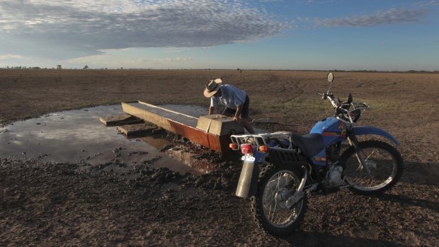 Drought: It was a drier-than-average year in Sydney, but much worse out west for Coonamble farmer Neil Kennedy.