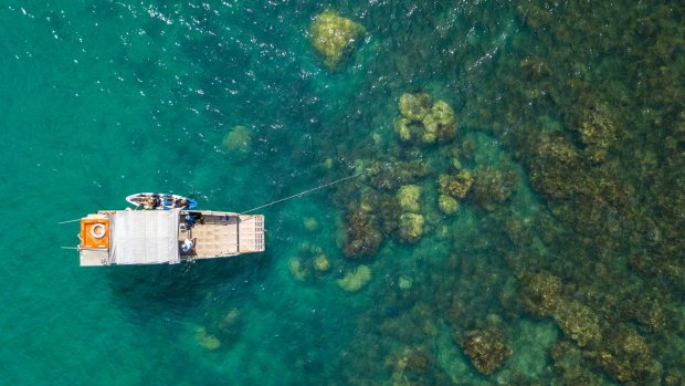 The waters around the island are bountiful with fish.