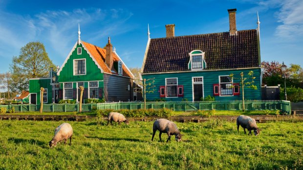 Zaanse Schans Dutch tourist village, Netherlands.