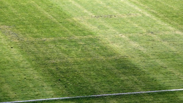 The swastika cross on the pitch was believed to have been left by a chemical agent. 