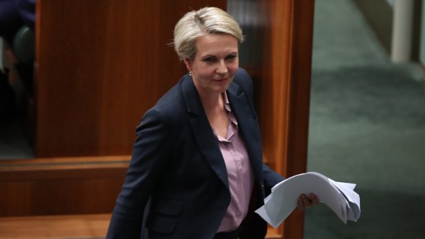 Deputy Opposition Leader Tanya Plibersek was sent out of question time on Tuesday.