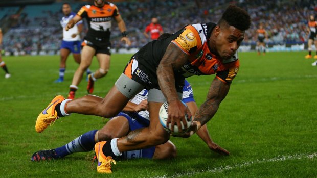 Superhuman: Kevin Naiqama of the Tigers keeps the ball in play for James Tedesco to score.
