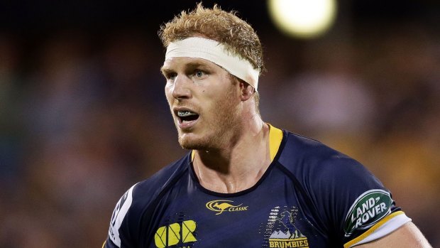 Threat: The Brumbies' David Pocock is a master at the breakdown.