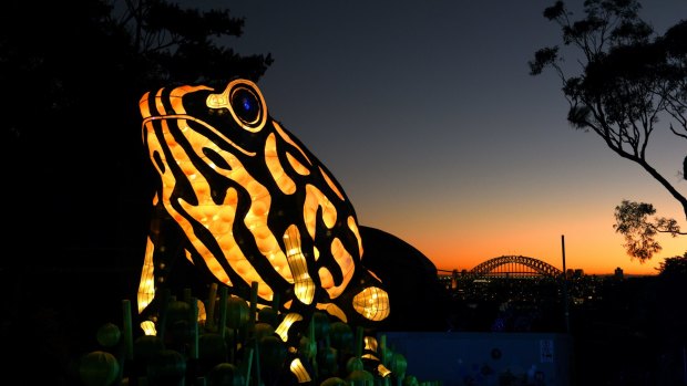 This year was the first time Taronga Zoo participated in the Vivid Sydney event.