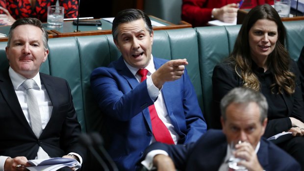 Shadow Energy Minister Mark Butler, centre, extended an olive branch to the government on energy policy but it wasn't accepted.