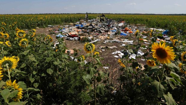 Sunflowers grow around the wreckage and debris at the crash site of Malaysia Airlines Flight MH17 near the village of Hrabove (Grabovo), Donetsk region. 