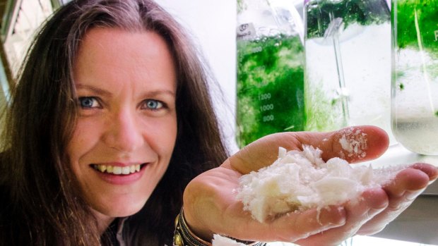 Marine ecologist and entrepreneur Dr Pia Winberg has a seaweed farm that produces foods and cosmetics.