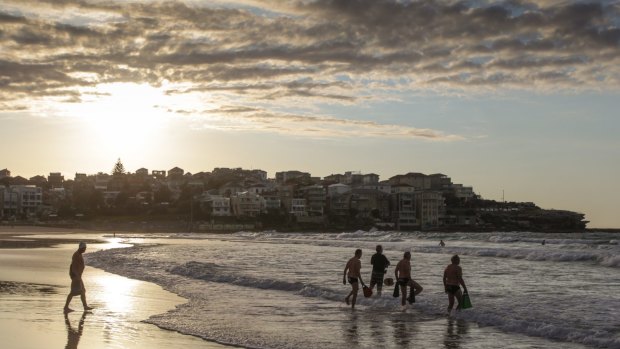 Dean Norburn said he was surfing at the southern end of Bondi Beach when a smal shark landed on his board.
