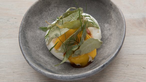 Frozen yoghurt with mango, saltbush and hints of hops.