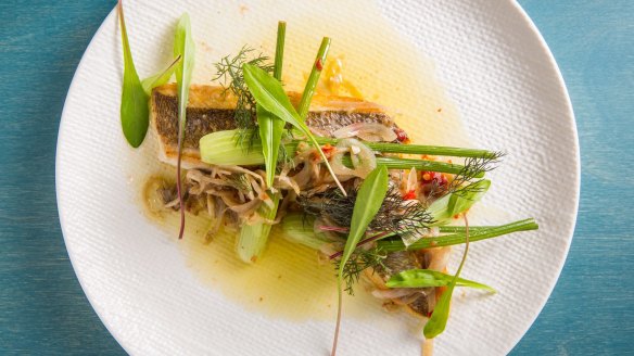 Seared snapper fillet, wild fennel vinaigrette, fermented chilli and dandelion.