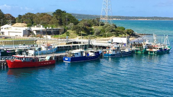 The fleet at San Remo catches gummy shark, blue grenadier, monkfish, southern rock lobster and more.