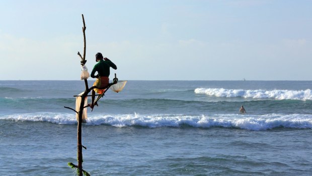 Traditional stick fishing in Weligama Bay.