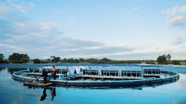 Infratech's floating solar raft.