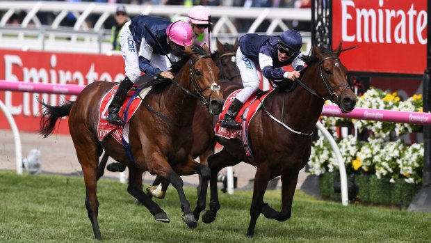 Williams quinella: Rekindling (pink cap) crosses the line ahead of Johannes Vermeer to win the Melbourne Cup.  