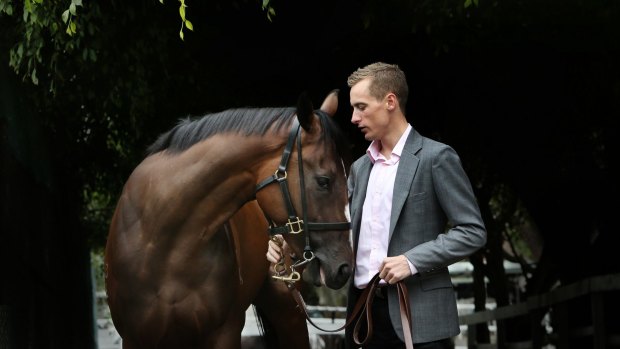 Jockey Blake Shinn with English at Gai Waterhouse's Kensington  stables.