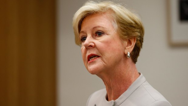 The UN's working group on arbitrary detention has called on "national authorities" to respect the role and "high reputation" of Australian Human Rights Commission president Gillian Triggs.