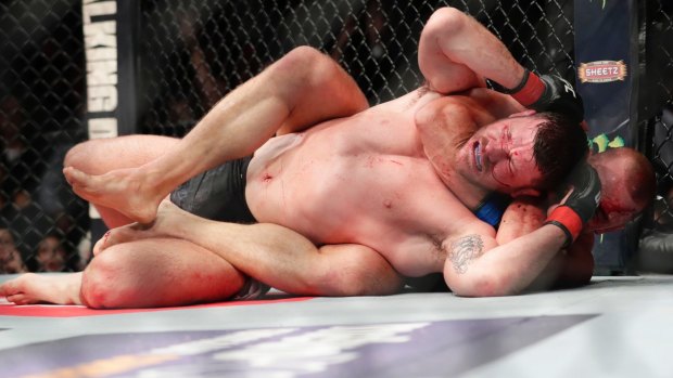Go to sleep: Georges St-Pierre locks in a rear naked choke on Michael Bisping.