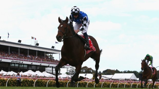 European success: German stayer Protectionist won last year's Melbourne Cup.