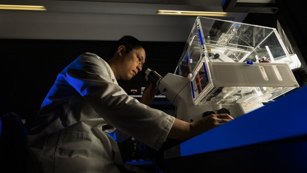 Cell Biologist Dr Ivan Poon
at La Trobe University.