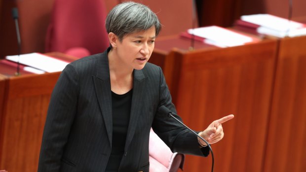 Australia needs to develop a China policy that looks at "what China actually is,"  says Senator Penny Wong. 