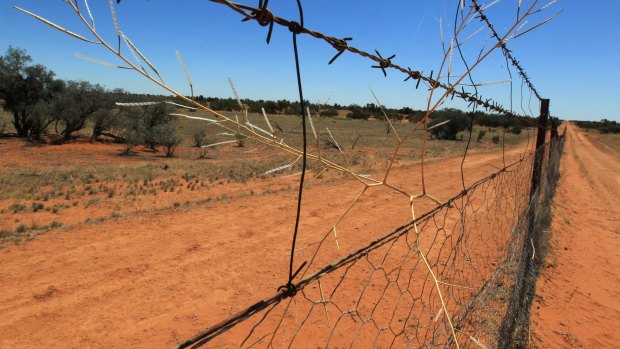 The dingo fence is the longest fence in the world at 5614km.