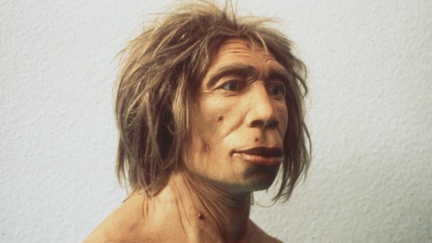 Interbreeding with Neanderthals could be responsible for allergies on modern humans.