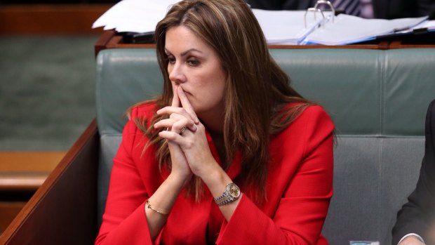 The sexist slavering over Peta Credlin, former chief of staff to Tony Abbott, has left feminists confused.
