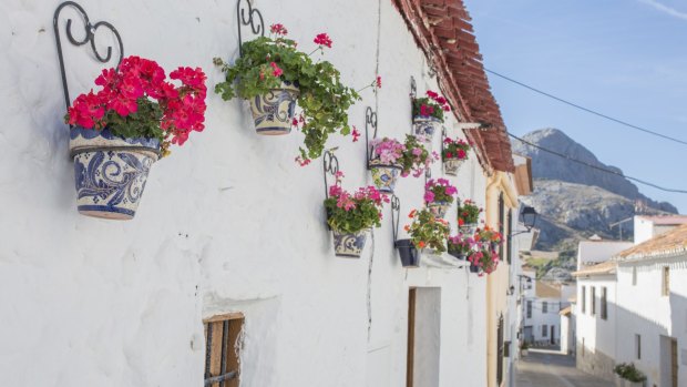 The whitewashed village of Alfarnatejo is adorned with tubs of roses.