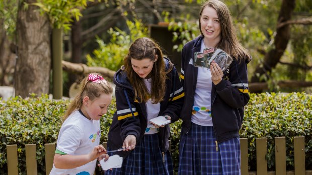 Students, from left, Kiara Ryan-Mearse, of Turner Primary School, and Elizabeth McRae and Brianna Keys, both of St Francis Xavier College try out Brianna's educational snap game at Kids Teaching Kids week.