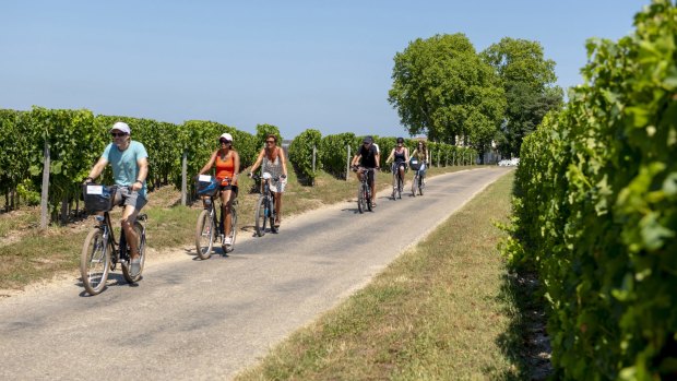 Cycling in the Medoc vineyards.